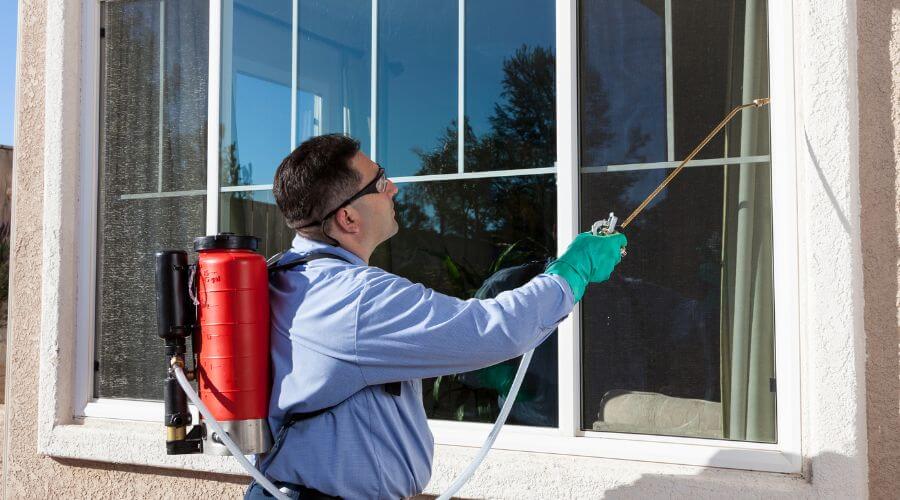 Professional bee hive relocation services in Collinsville - Collinsville Bee Hive Relocation
